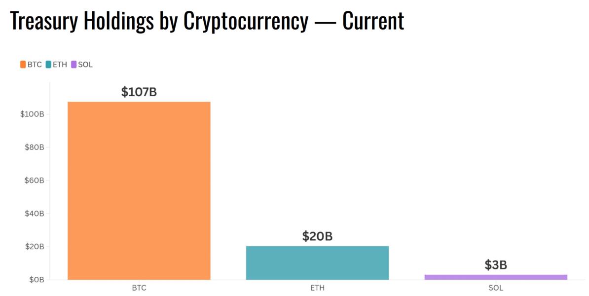 The Relationship Between Crypto Holdings and Shareholder Value