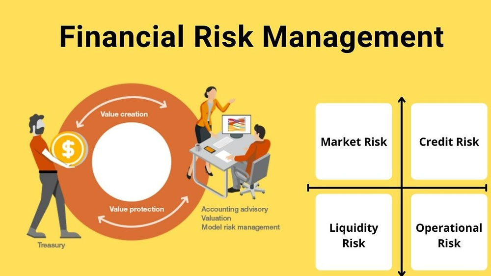 Financial Services and Risk Management