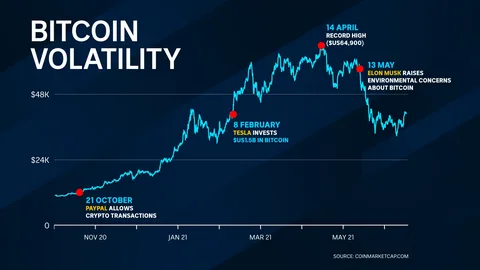 Bitcoin Price Volatility and Revenue Impact